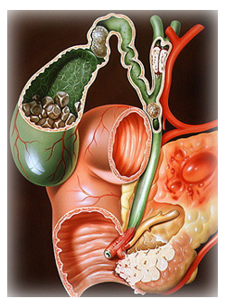 Gallbladder UAE