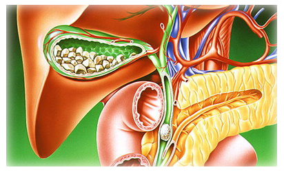 Gallbladder Dubai