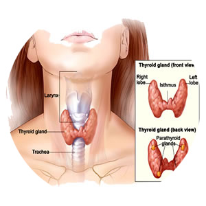 thyroid surgery in dubai