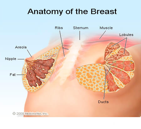 breast lump in dubai